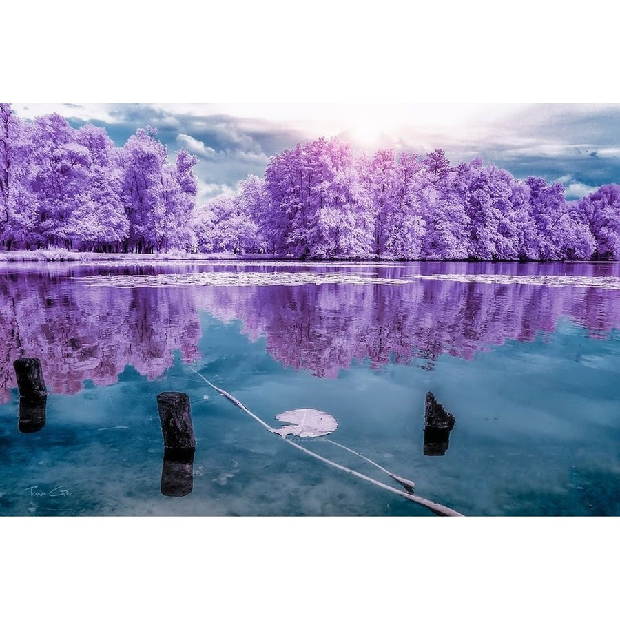 Majolan s Park Reflections I-Bordeaux - Infrared and UV photography by Tonee Gee-VARPDXIG8159 Image 1