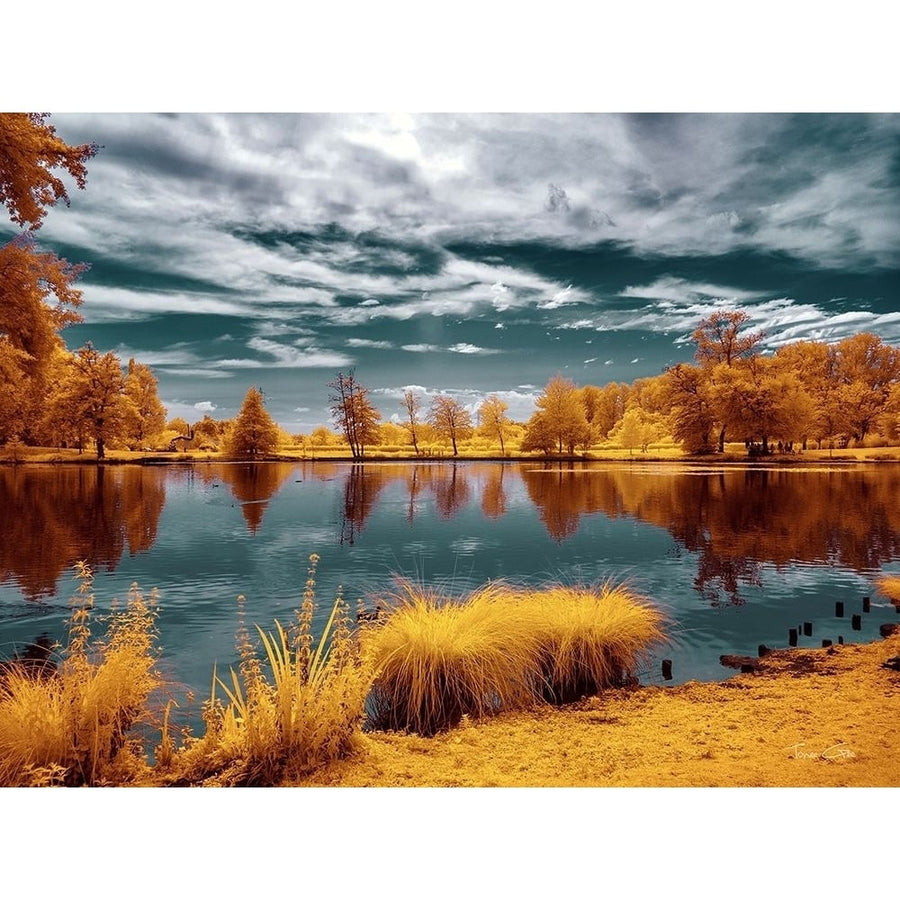 Majolan s Park Reflections II-Bordeaux - Infrared and UV Photography by Tonee Gee-VARPDXIG8160 Image 1