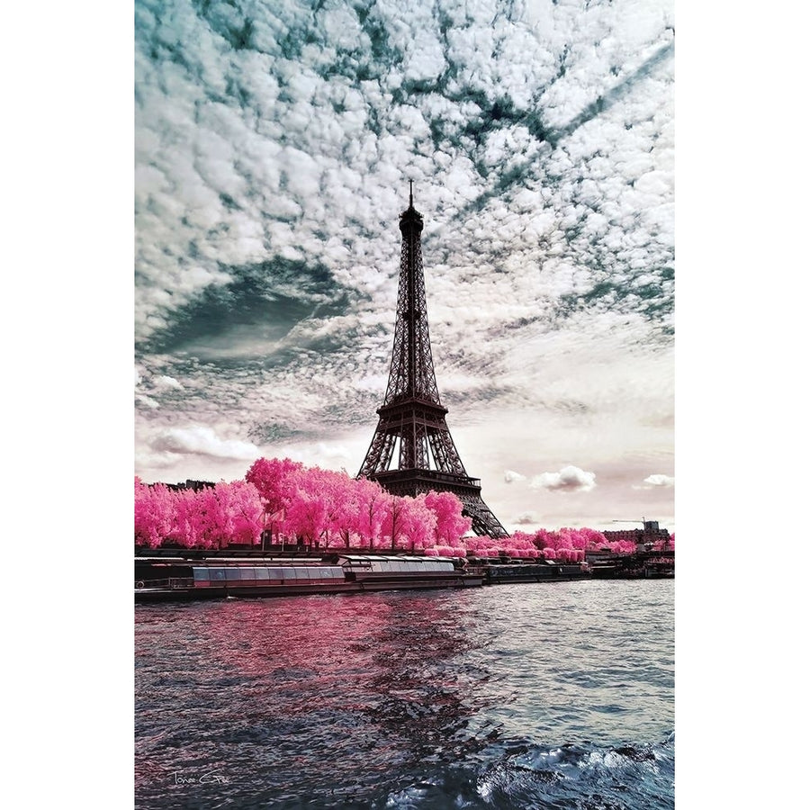 IR on Lady-Paris - Infrared Photography by Tonee Gee-VARPDXIG8166 Image 1