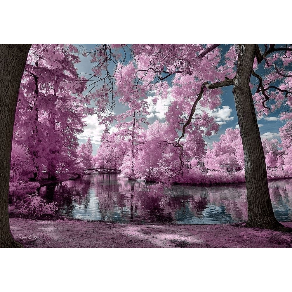 Bordeaux s Park - Infrared Photography by Tonee Gee-VARPDXIG8161 Image 1