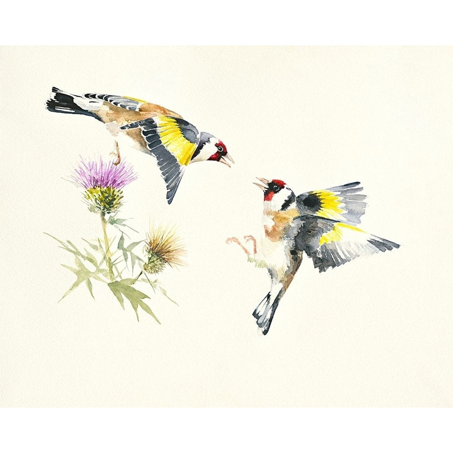 Goldfinches by Hilary Mayes-VARPDXIG8455 Image 1