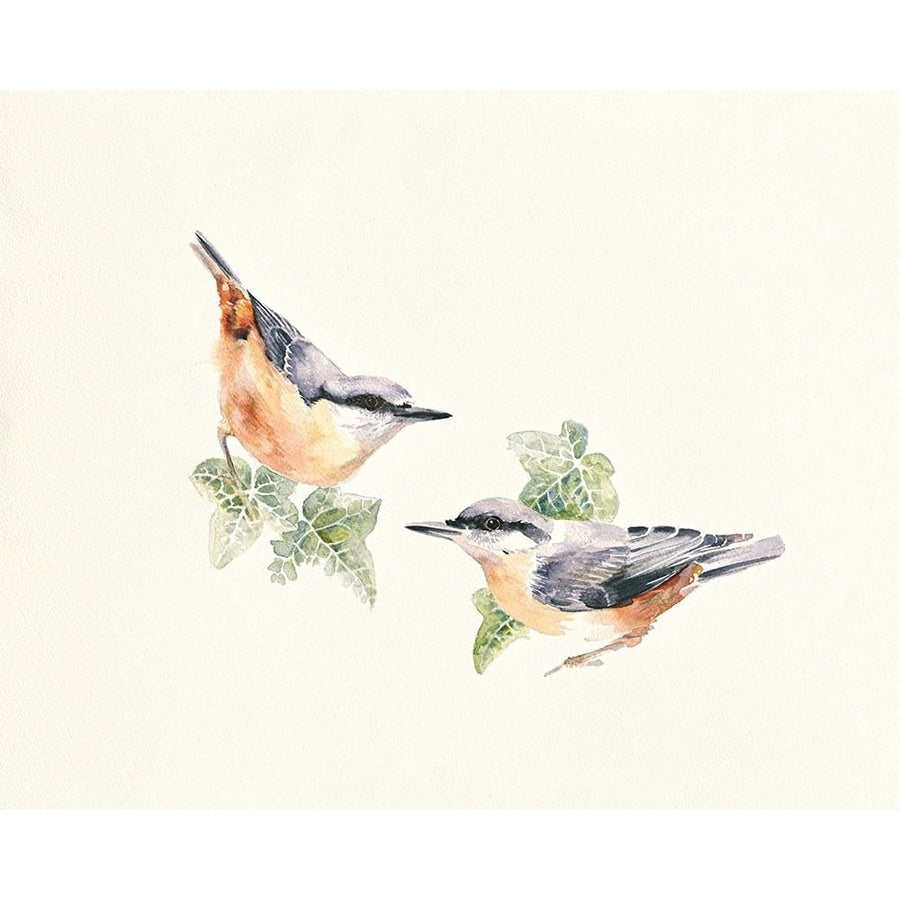 Nuthatches by Hilary Mayes-VARPDXIG8453 Image 1