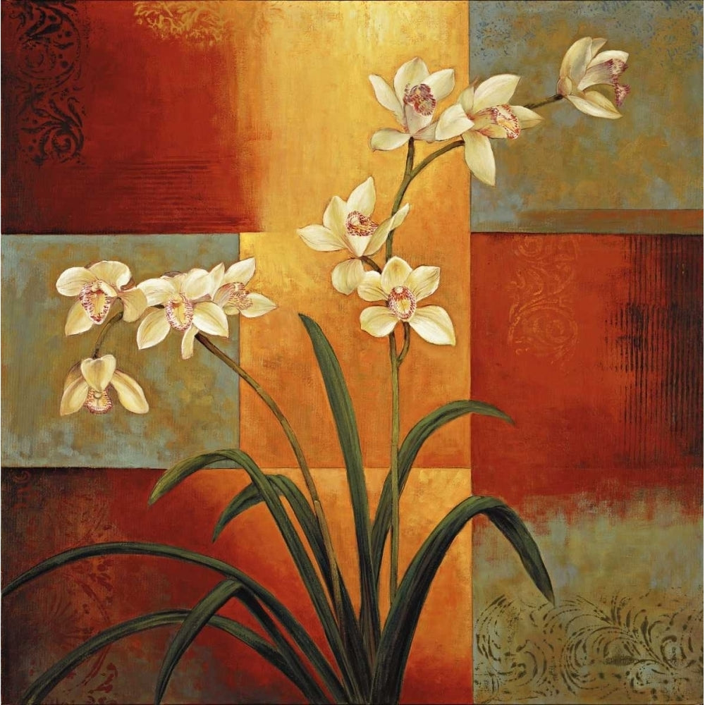 White Orchid Poster Print by Jill Deveraux-VARPDXILD4463 Image 1