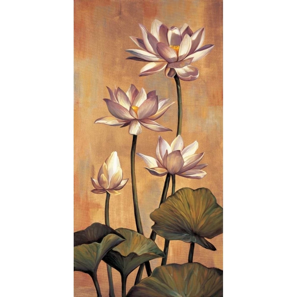 White Lotus Poster Print by Jill Deveraux-VARPDXILD5097 Image 1