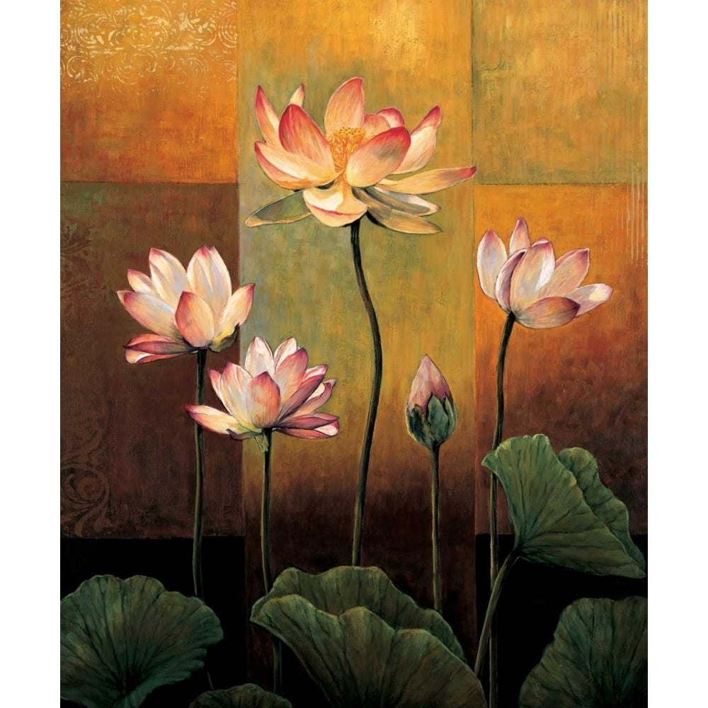 Lotus Poster Print by Jill Deveraux-VARPDXILD4598 Image 1