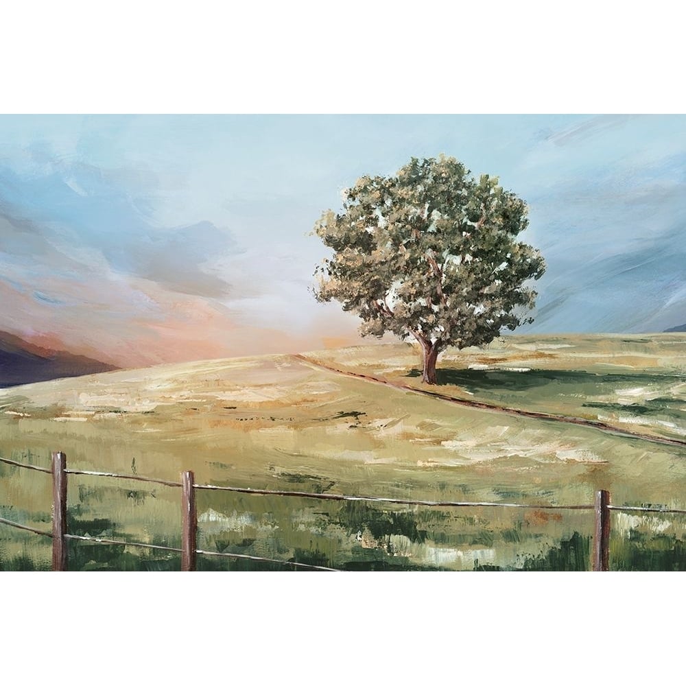 Sunset Tree Poster Print - Ian C-VARPDXIN015A Image 1