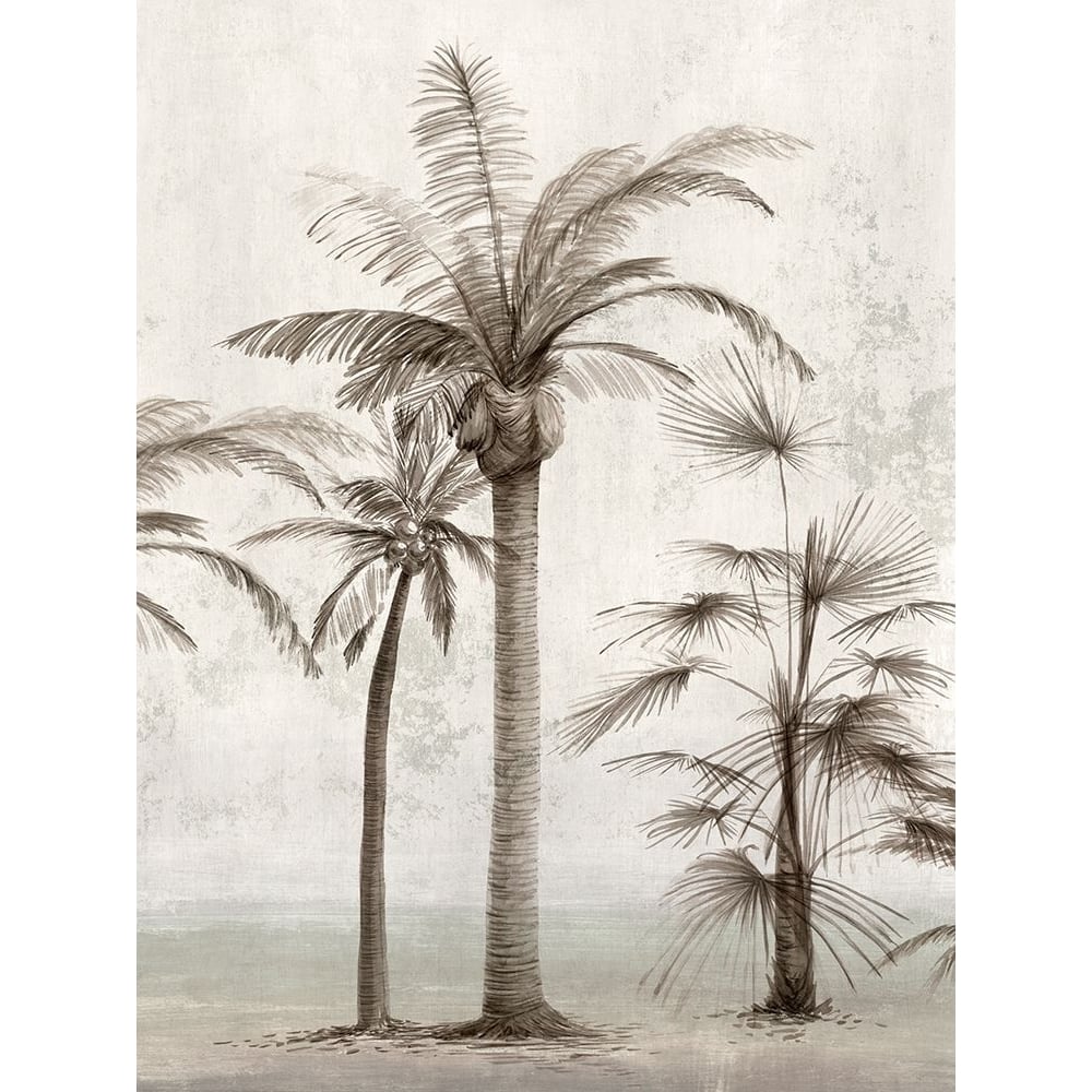 Vintage Palm Trees I Poster Print - Ian C-VARPDXIN003A Image 1