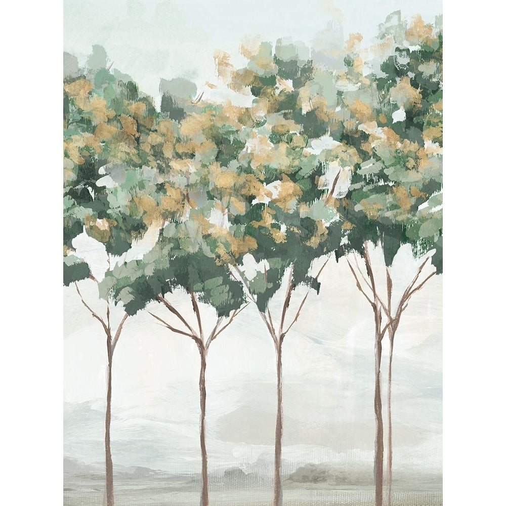 Green and Gold Trees II Poster Print - C Ian-VARPDXIN047A Image 1