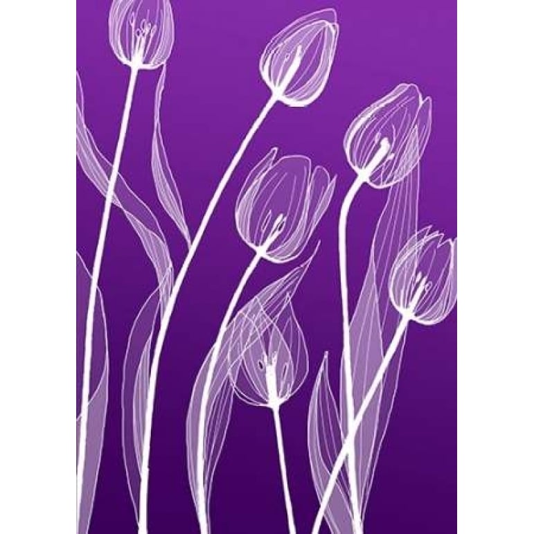 X-ray Flowers Poster Print by GraphINC-VARPDXIN302061 Image 1