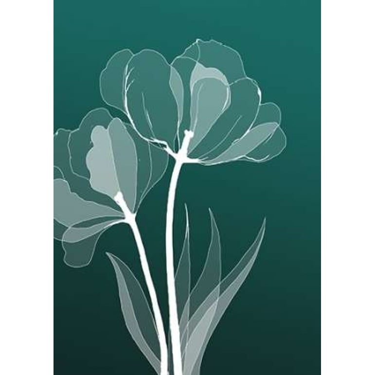 X-ray Flowers Poster Print by GraphINC-VARPDXIN302063 Image 1