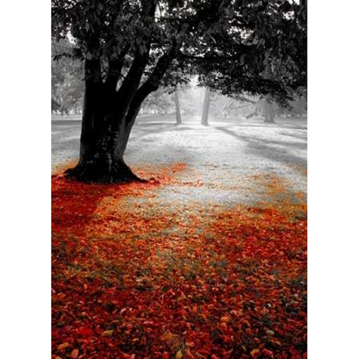 Autumn Contrast Poster Print by PhotoINC Studio-VARPDXIN30796 Image 1