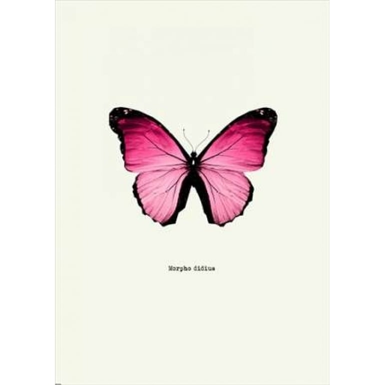 Pink Butterfly Poster Print by GraphINC-VARPDXIN318884 Image 2