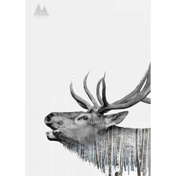 Deer Poster Print by Clean Nature-VARPDXIN32109 Image 1