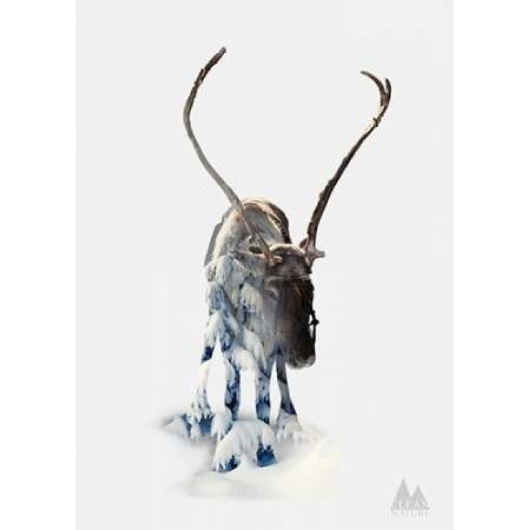 Moose Poster Print by Clean Nature-VARPDXIN32111 Image 1