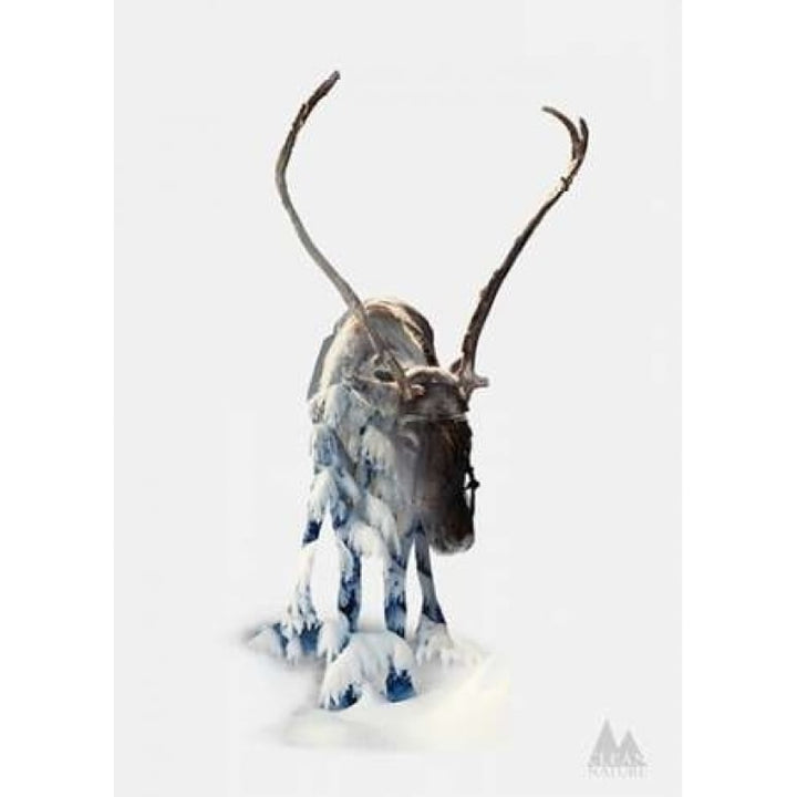 Moose Poster Print by Clean Nature-VARPDXIN32111 Image 2