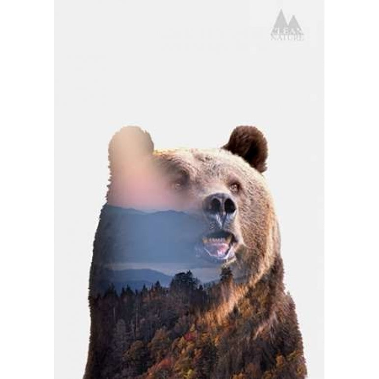 Bear Poster Print by Clean Nature-VARPDXIN32110 Image 1