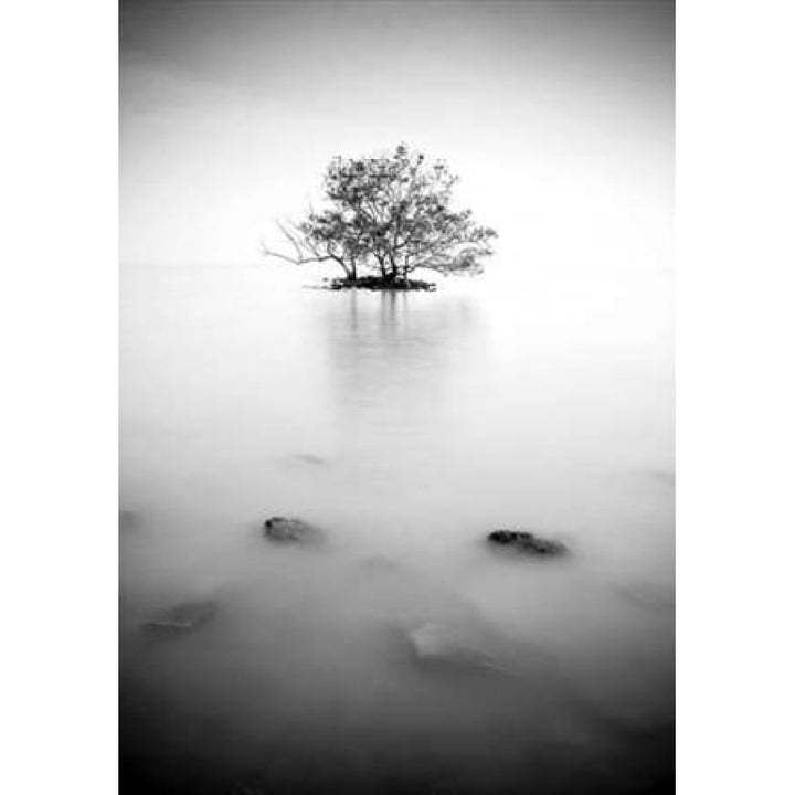 In the mist Poster Print by PhotoINC Studio-VARPDXIN32172 Image 2