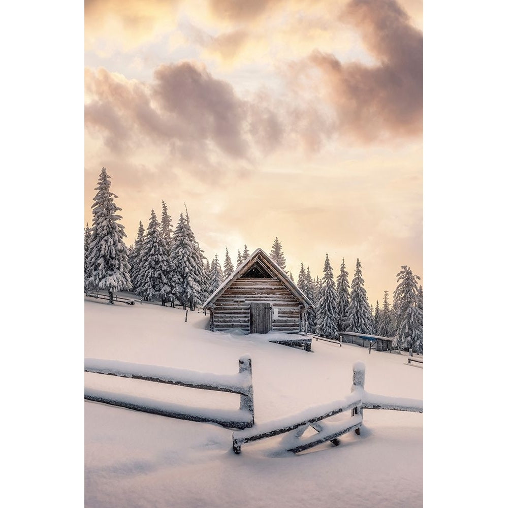 Snowy Cabin in the Woods Poster Print - Incado-VARPDXIN35919 Image 1