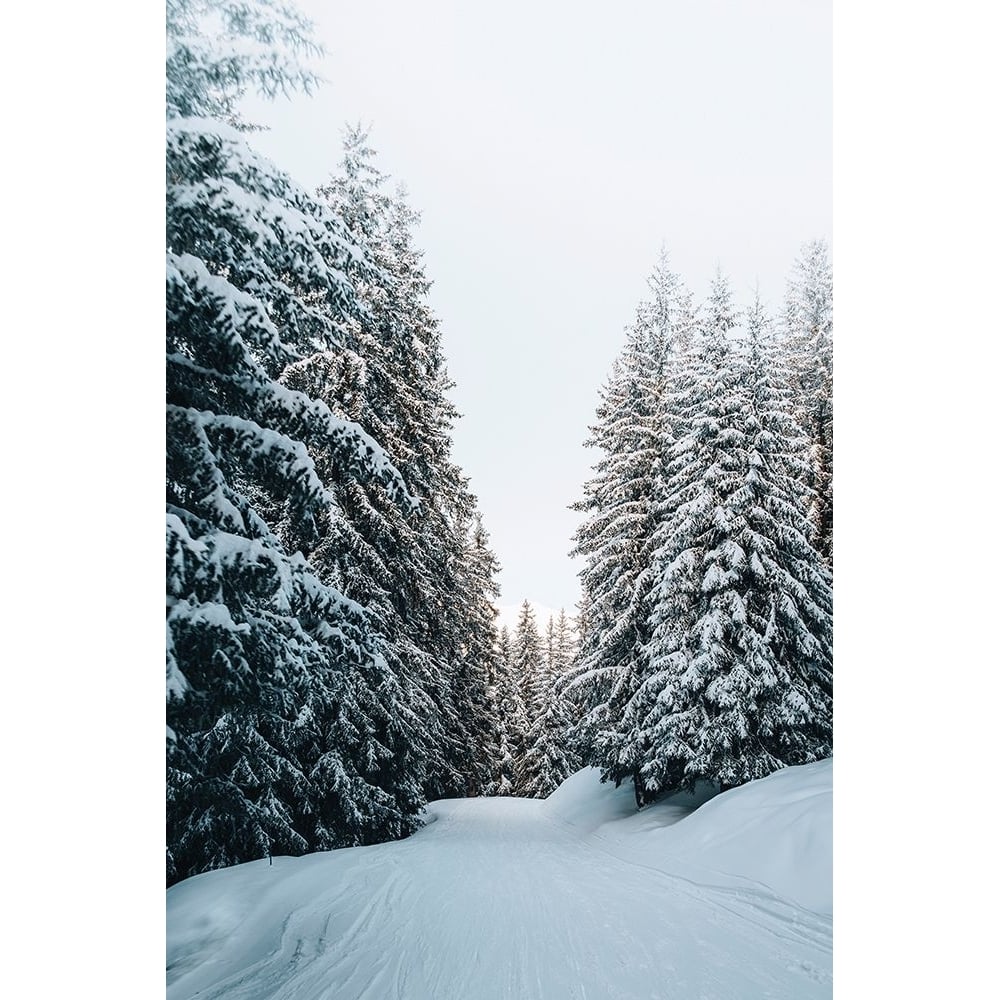 Trail in Snow Poster Print - Incado-VARPDXIN35932 Image 1