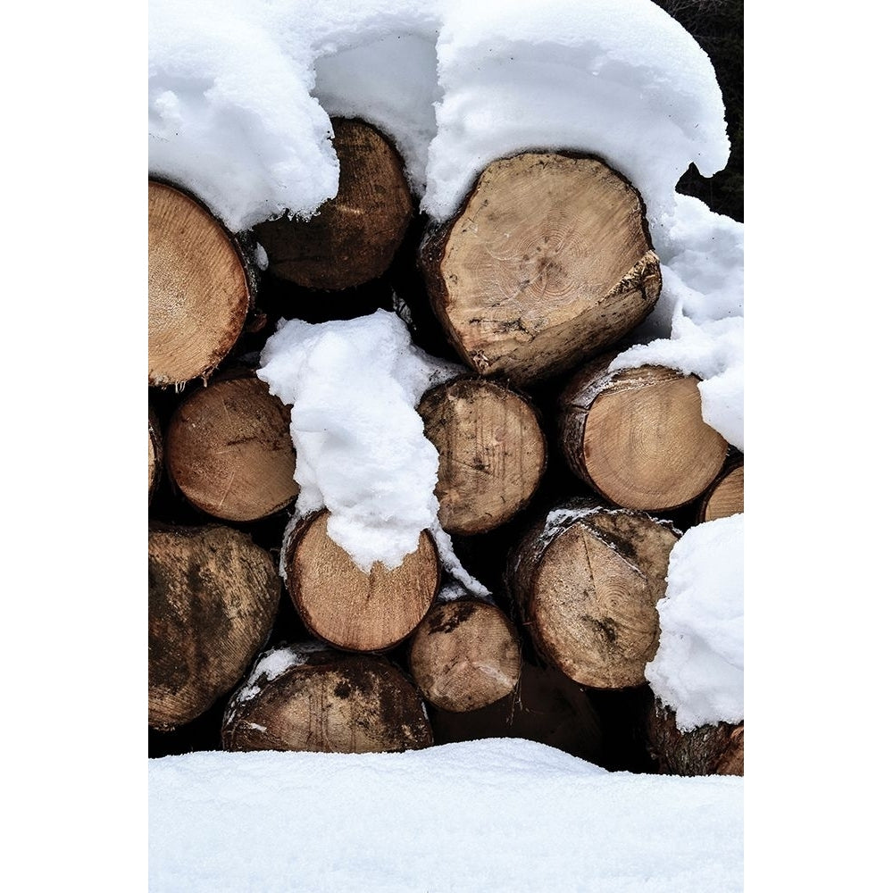 Snow Covered Logs Poster Print - Incado-VARPDXIN35935 Image 1