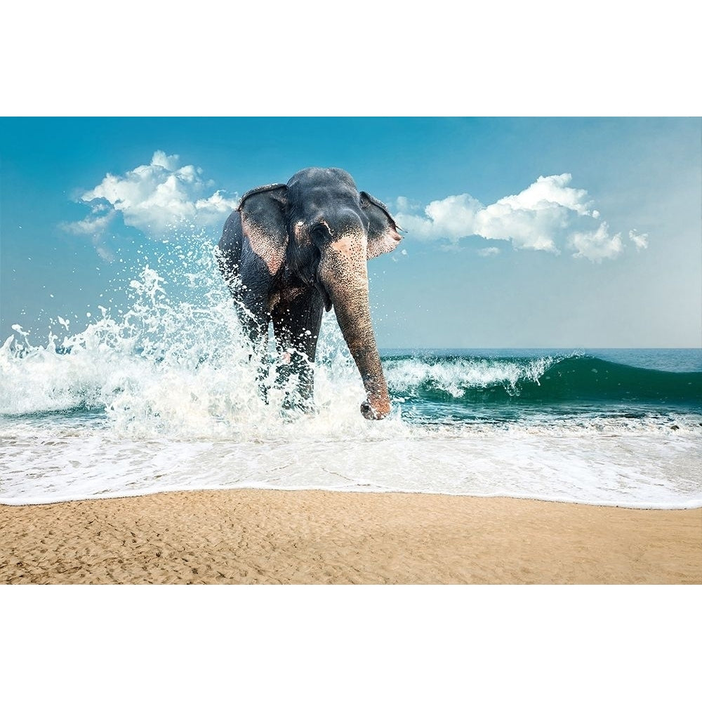 Elephant Poster Print by PhotoINC Studio-VARPDXIN99058 Image 1