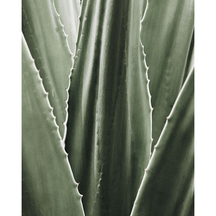 Leaf I Poster Print by Incado-VARPDXIN99085 Image 1