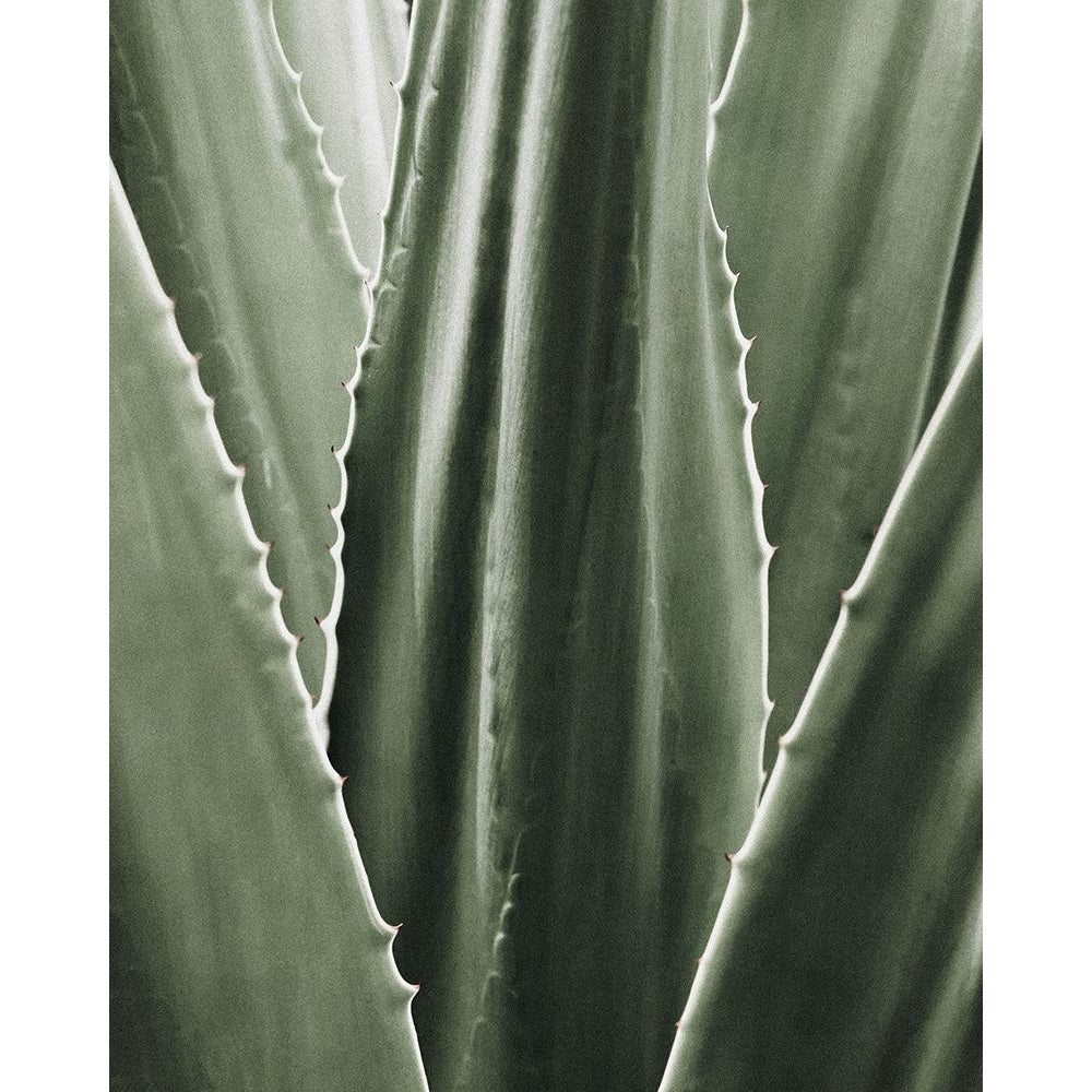 Leaf I Poster Print by Incado-VARPDXIN99085 Image 2