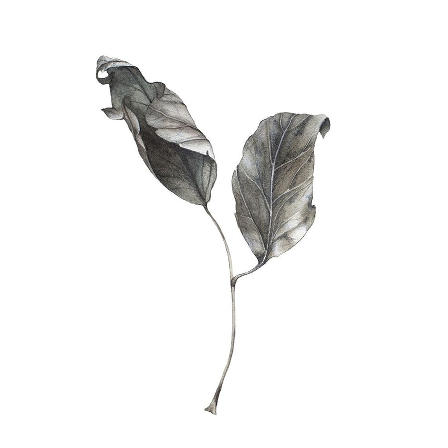 Silver Leaf Poster Print by Incado-VARPDXIN99096 Image 1