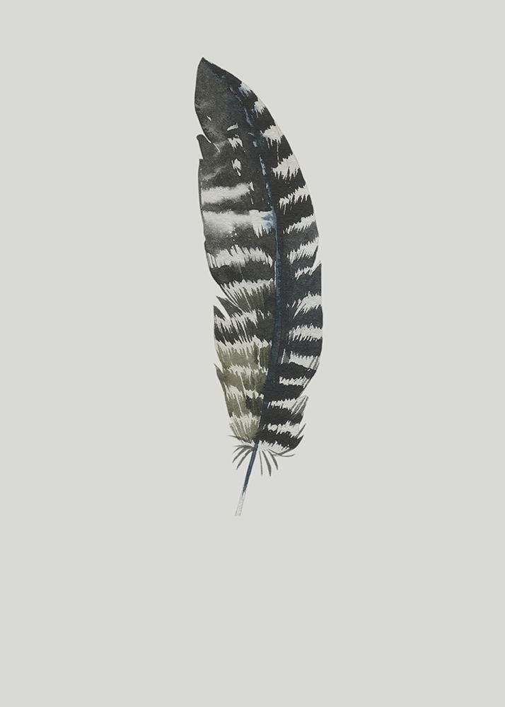 Feather 05 Poster Print by Incado-VARPDXIN99116 Image 1