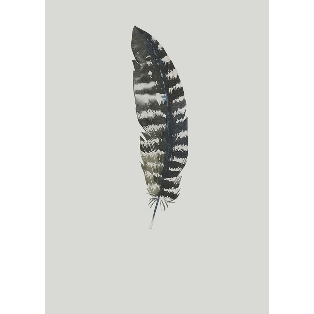 Feather 05 Poster Print by Incado-VARPDXIN99116 Image 2