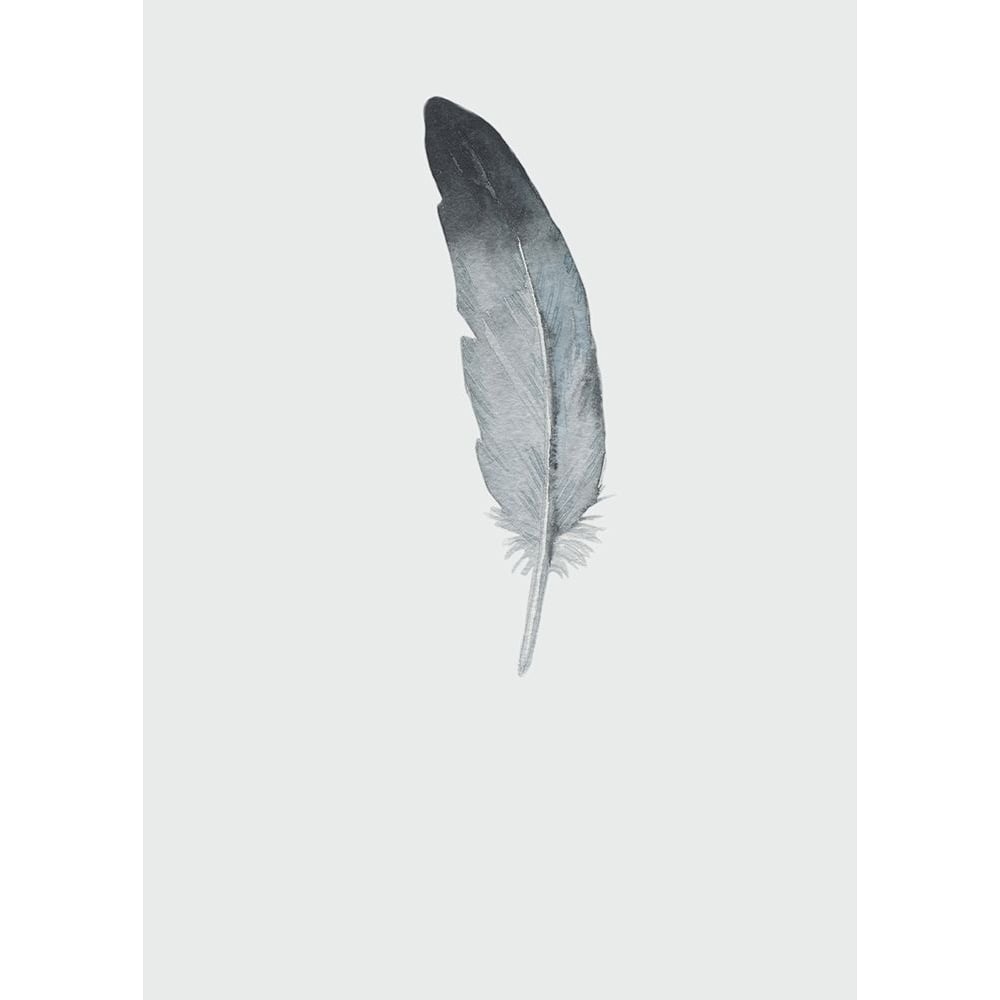 Feather 09 Poster Print by Incado-VARPDXIN99120 Image 2