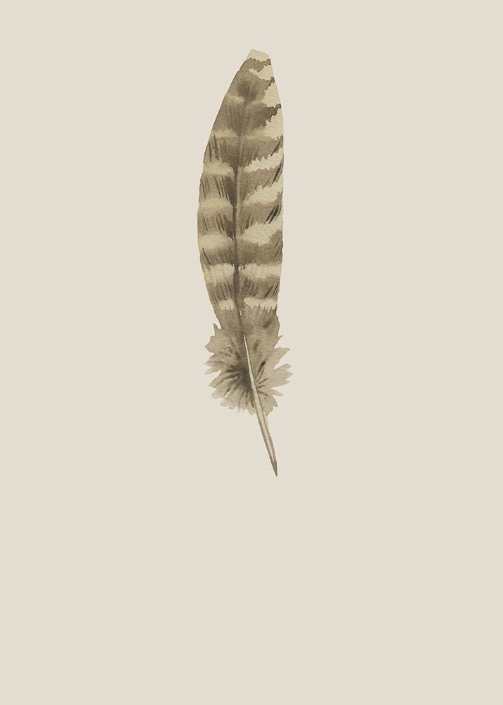 Feather 07 Poster Print by Incado-VARPDXIN99118 Image 1