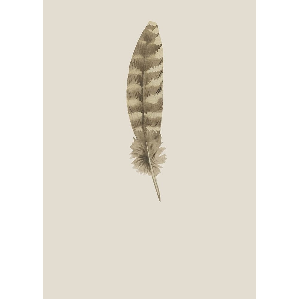 Feather 07 Poster Print by Incado-VARPDXIN99118 Image 2