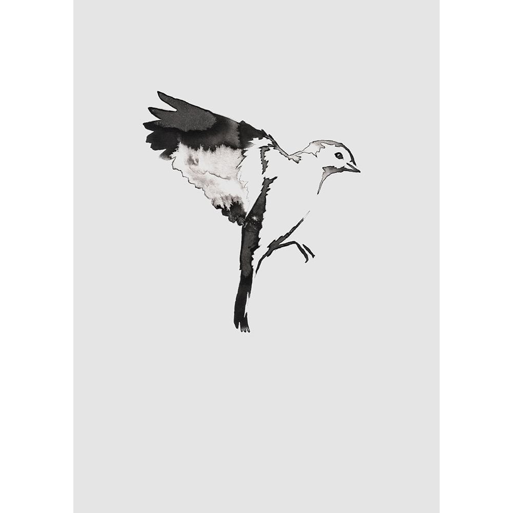 Flying Bird I Poster Print by Incado-VARPDXIN99125 Image 2