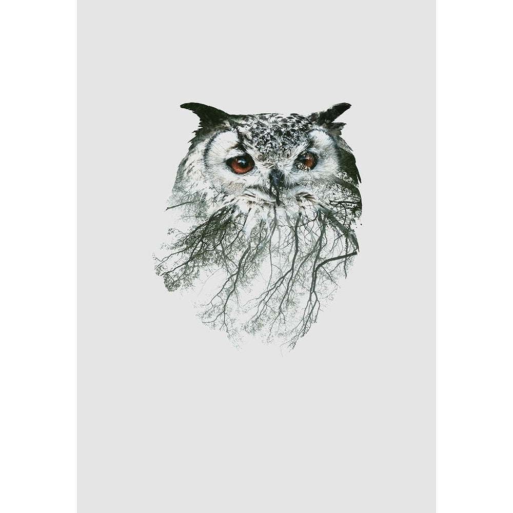 Eye Of The Forest Ii Poster Print by Clean Nature-VARPDXIN99184 Image 2