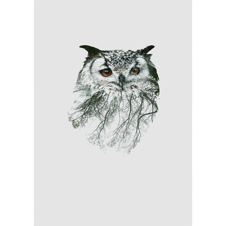 Eye Of The Forest Ii Poster Print by Clean Nature-VARPDXIN99184 Image 1