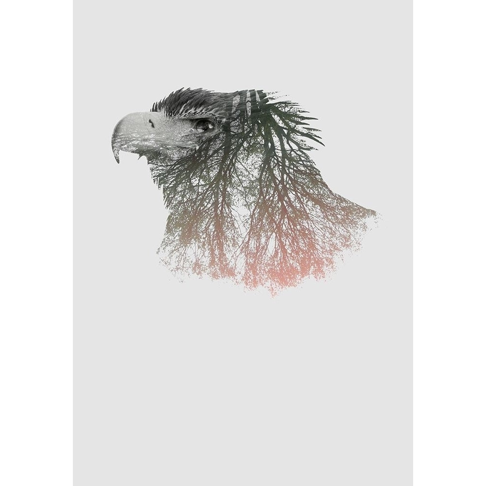 Eye Of The Forest I Poster Print by Clean Nature-VARPDXIN99183 Image 2