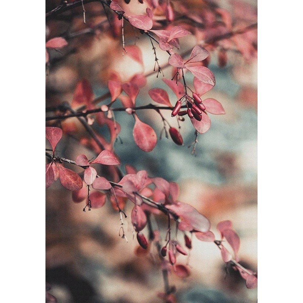 Fall I Poster Print by PhotoINC Studio-VARPDXIN99203 Image 2