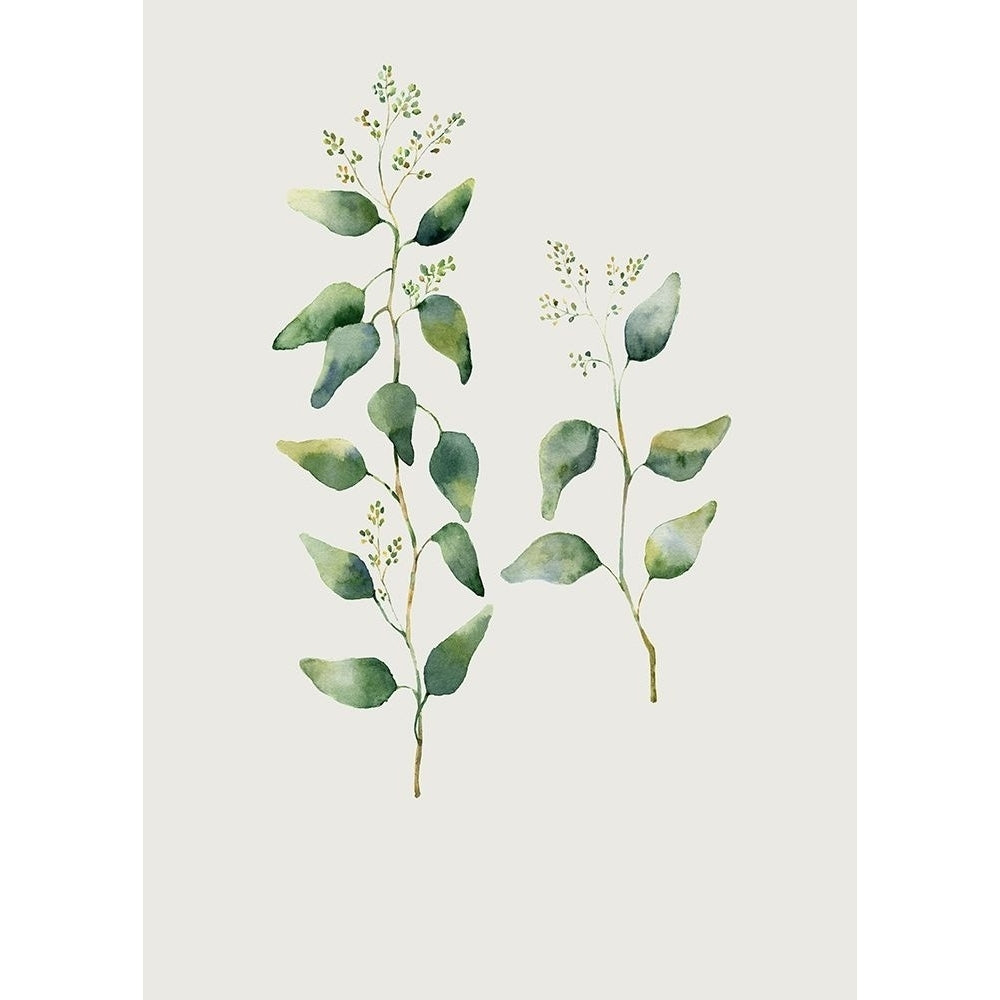 Botanical I Poster Print by Incado-VARPDXIN99226 Image 1