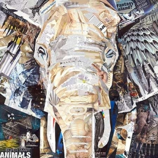 Elephants Gaze Poster Print by James Grey-VARPDXINJG118 Image 2