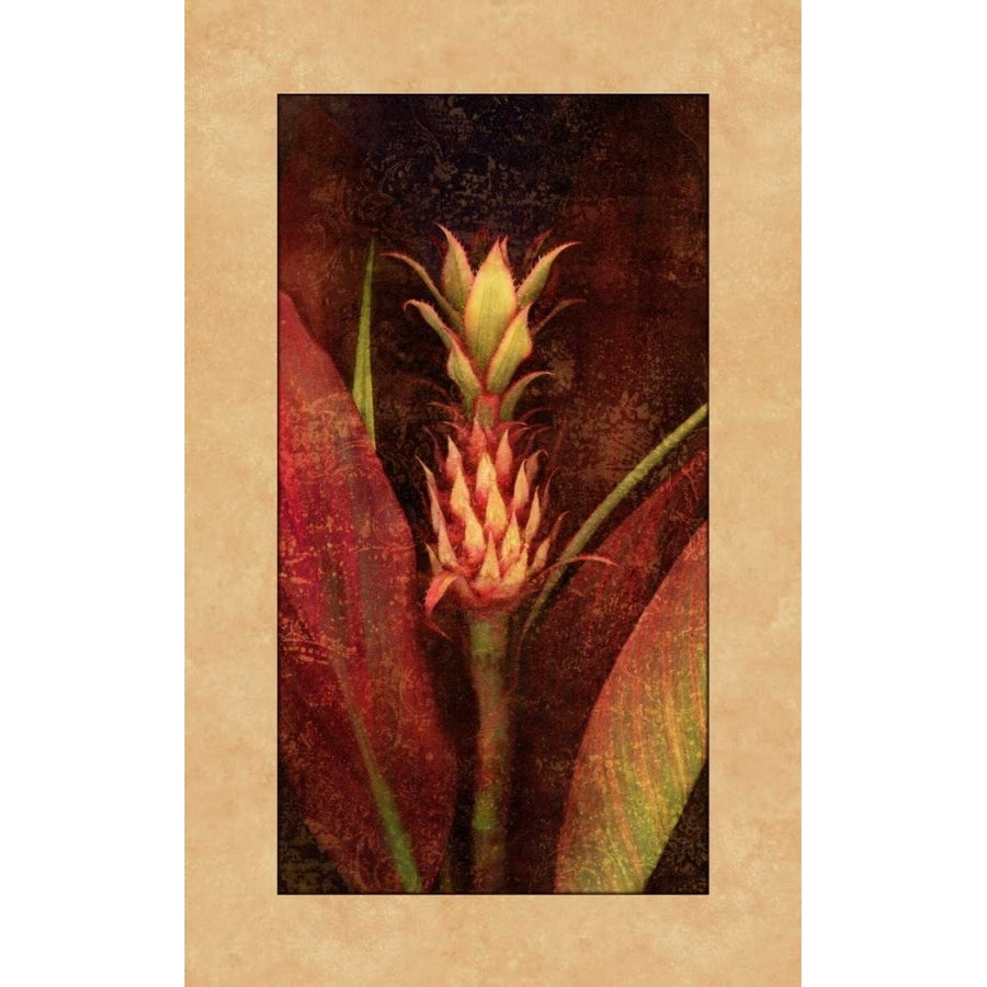 Pineapple Poster Print by John Seba-VARPDXIS4062 Image 1