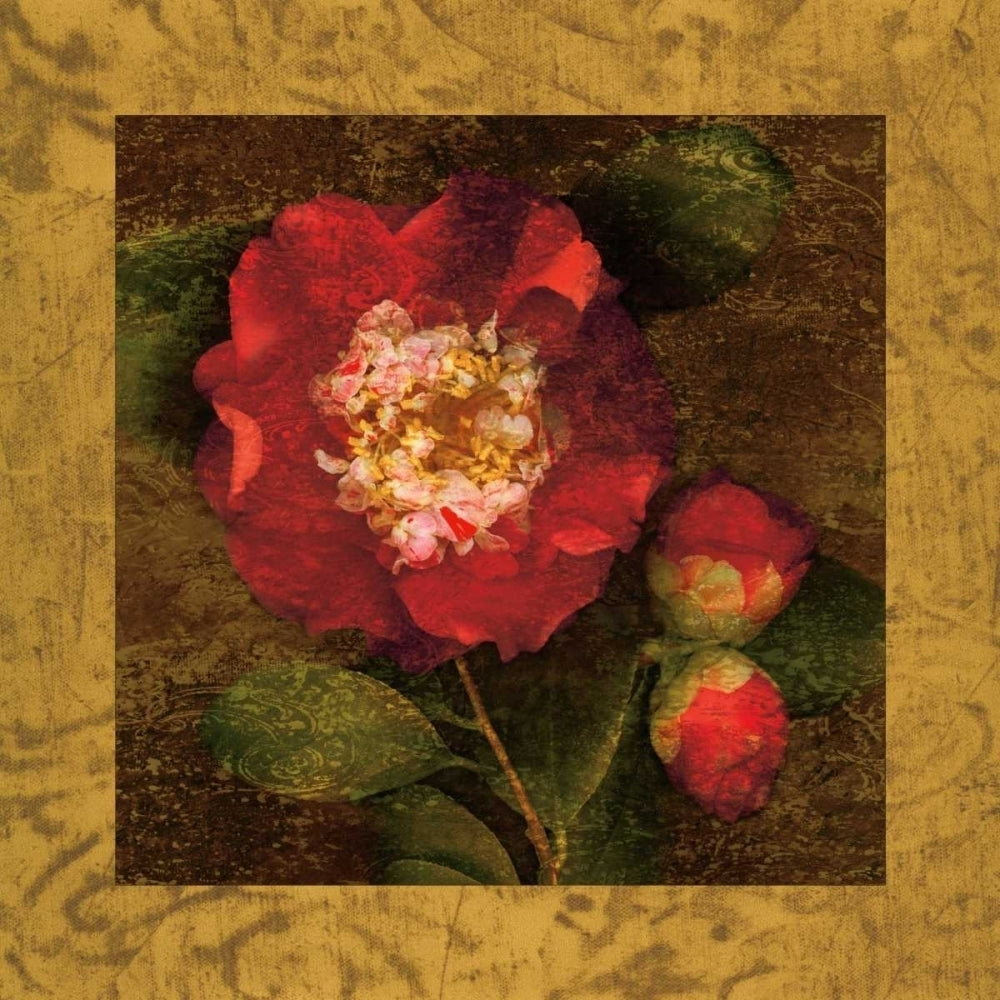 Red Camellias I Poster Print by John Seba-VARPDXIS4146 Image 1