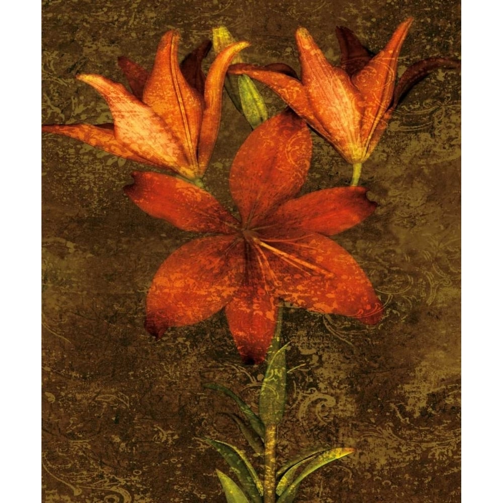 Red Lilies Poster Print by John Seba-VARPDXIS4144 Image 1