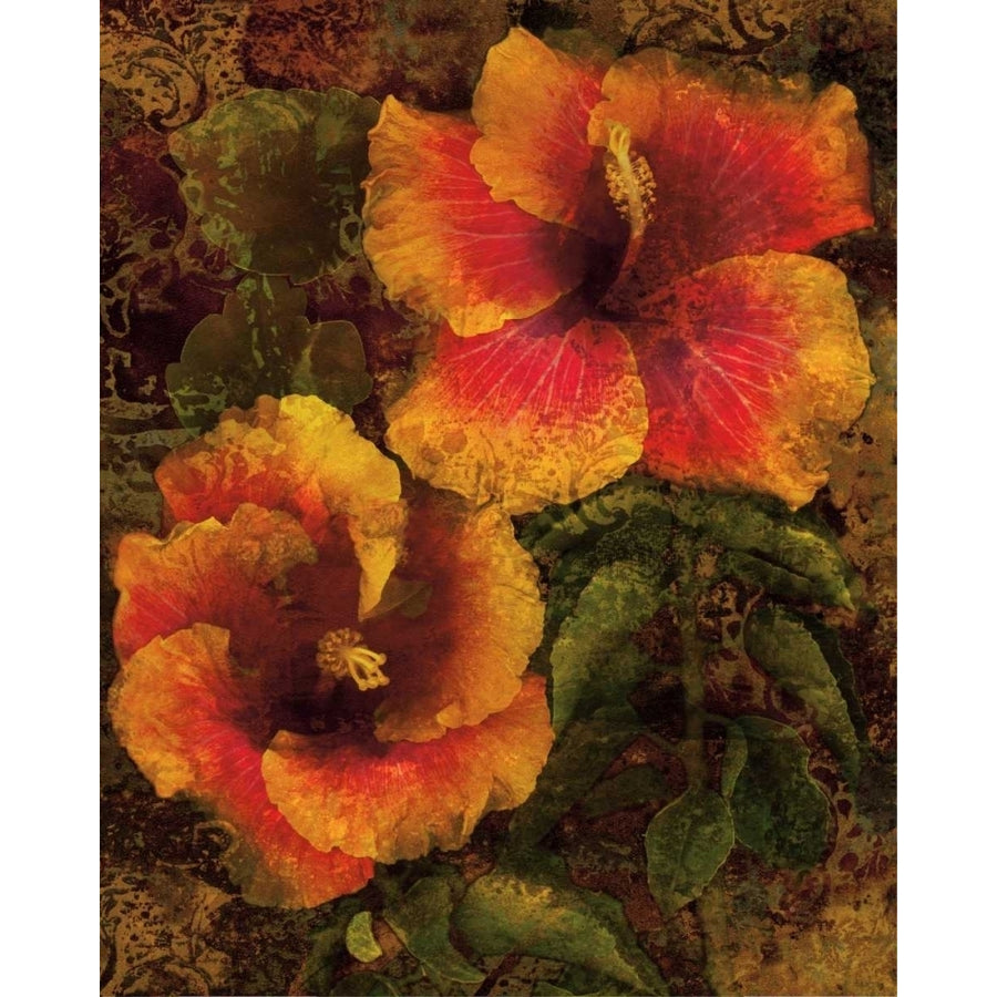 Hibiscus I Poster Print by John Seba-VARPDXIS4164 Image 1