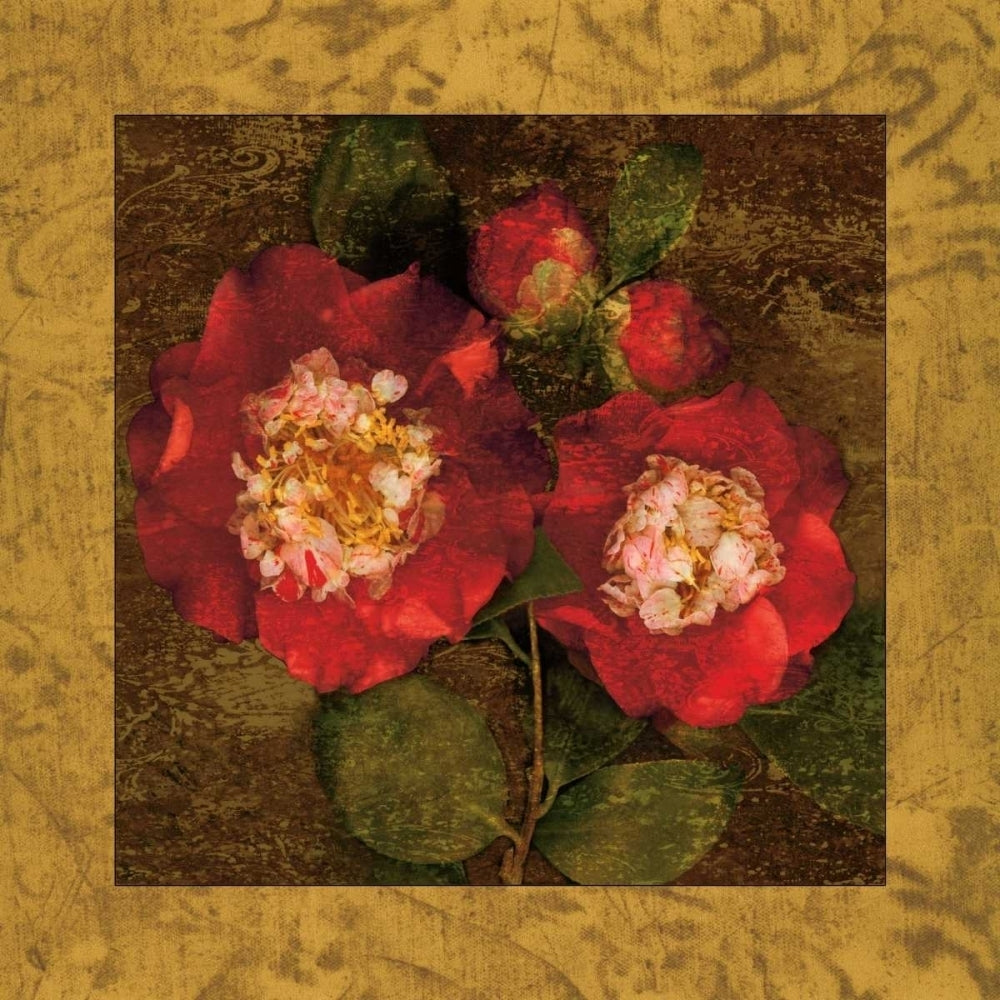 Red Camellias II Poster Print by John Seba-VARPDXIS4147 Image 1