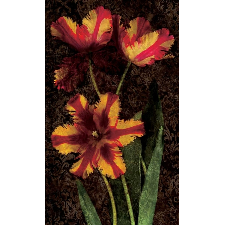 Decorative Tulips I Poster Print by John Seba-VARPDXIS4494 Image 1