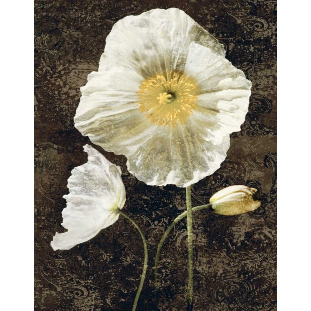 Poppies II Poster Print by John Seba-VARPDXIS4615 Image 1