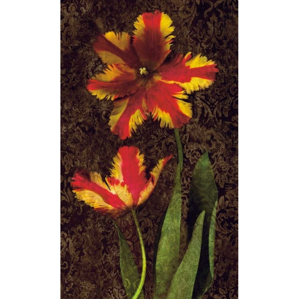 Decorative Tulips II Poster Print by John Seba-VARPDXIS4495 Image 1