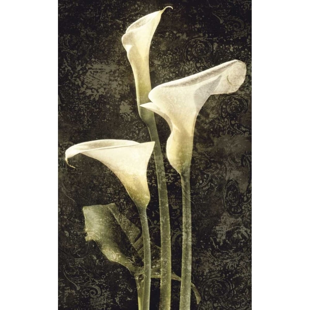 Callas II Poster Print by John Seba-VARPDXIS4617 Image 1