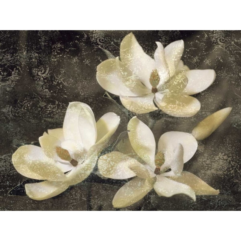 The Magnolia Tree Poster Print by John Seba-VARPDXIS4618 Image 1